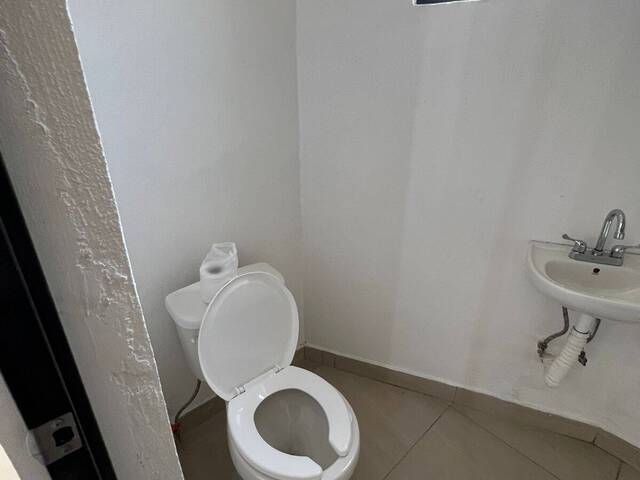  para  en  - 5