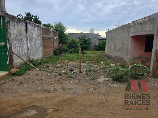 #241 - Área para Venta en Mazatlán - SL - 3