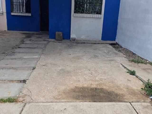 para en - 3